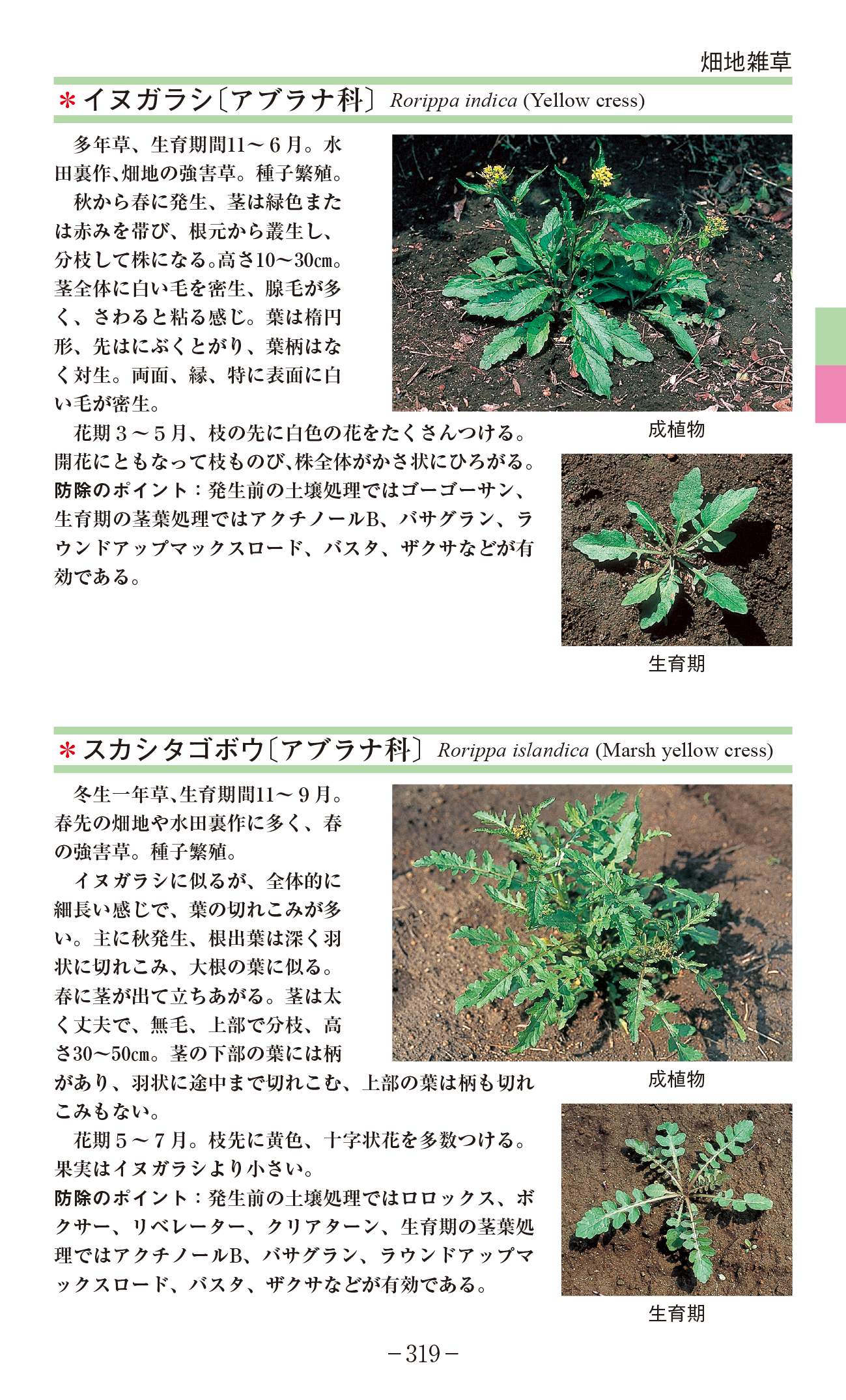 サムネイル画像8