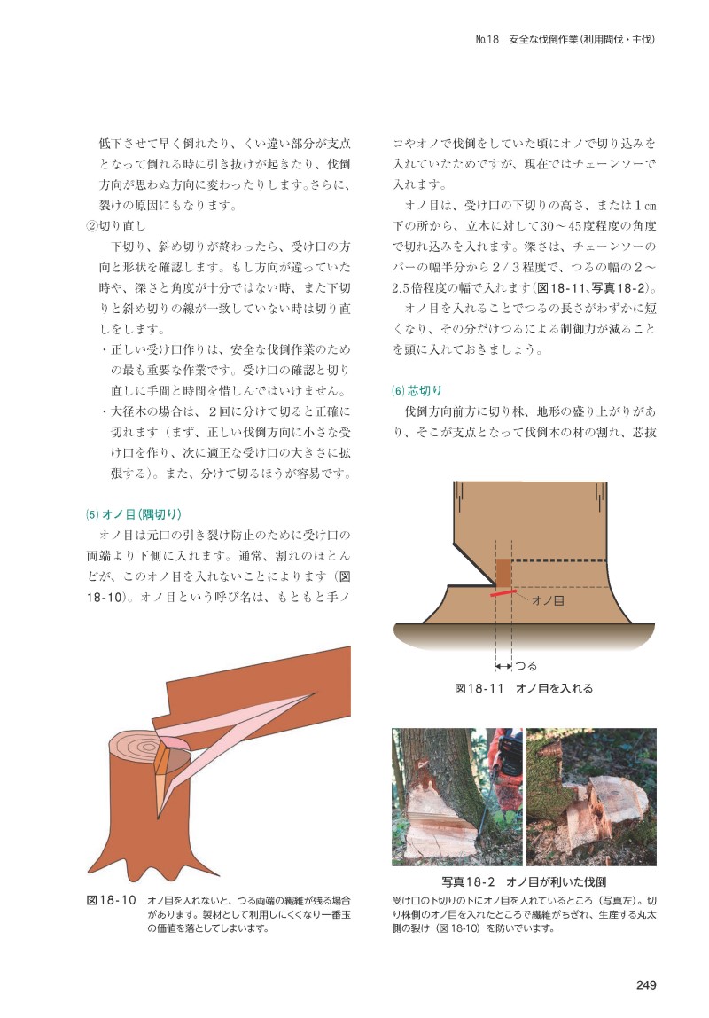 サムネイル画像5