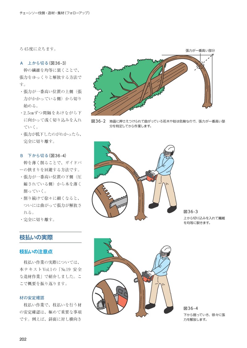 サムネイル画像5