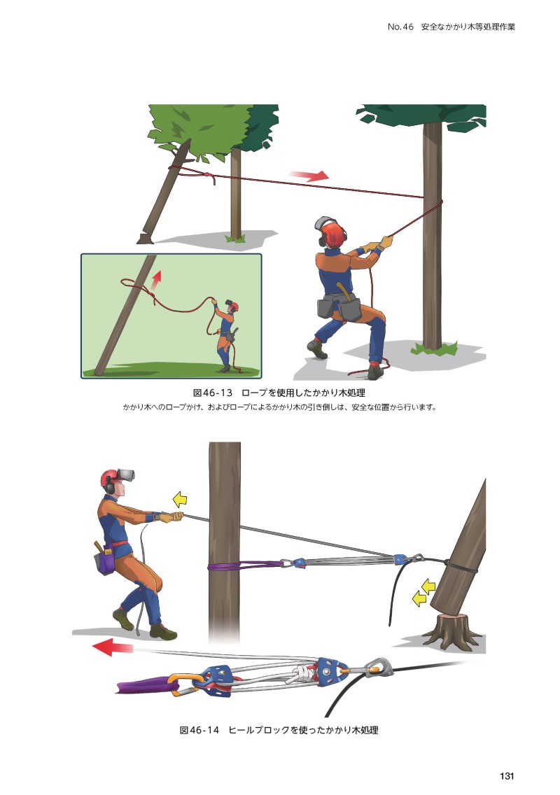 サムネイル画像4