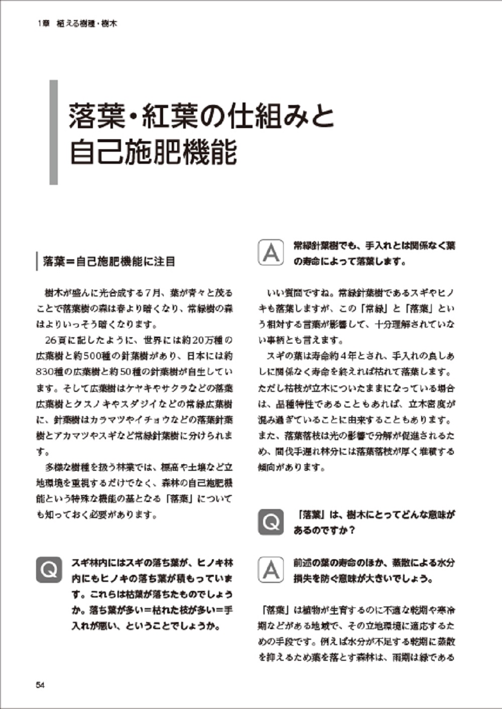 サムネイル画像3