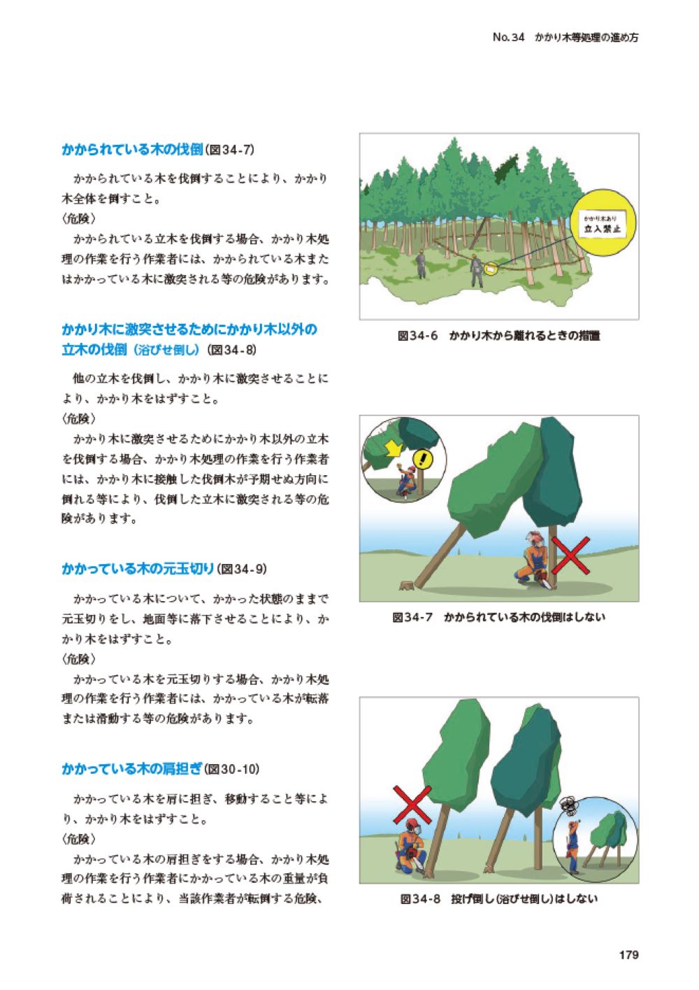 サムネイル画像5