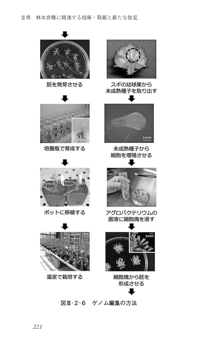 サムネイル画像4
