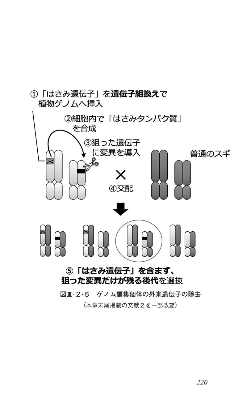 サムネイル画像5