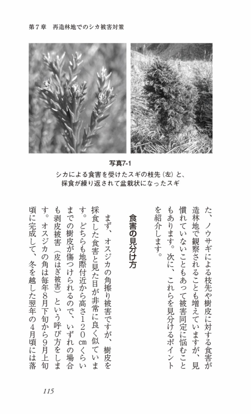 サムネイル画像4
