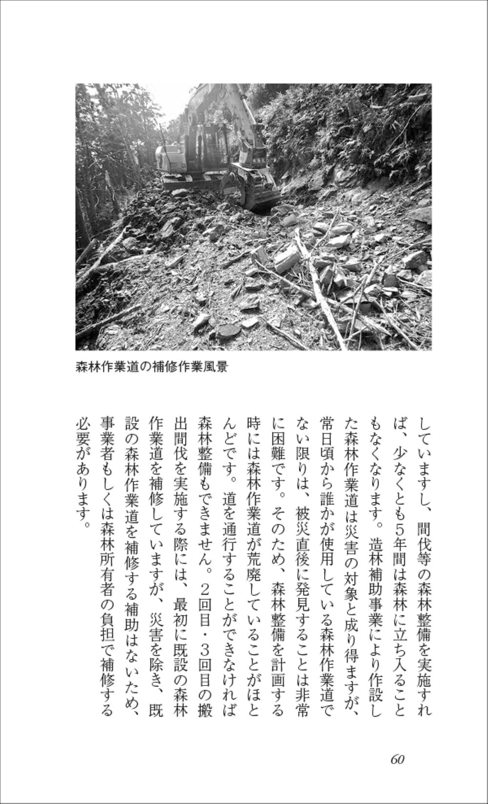 サムネイル画像2