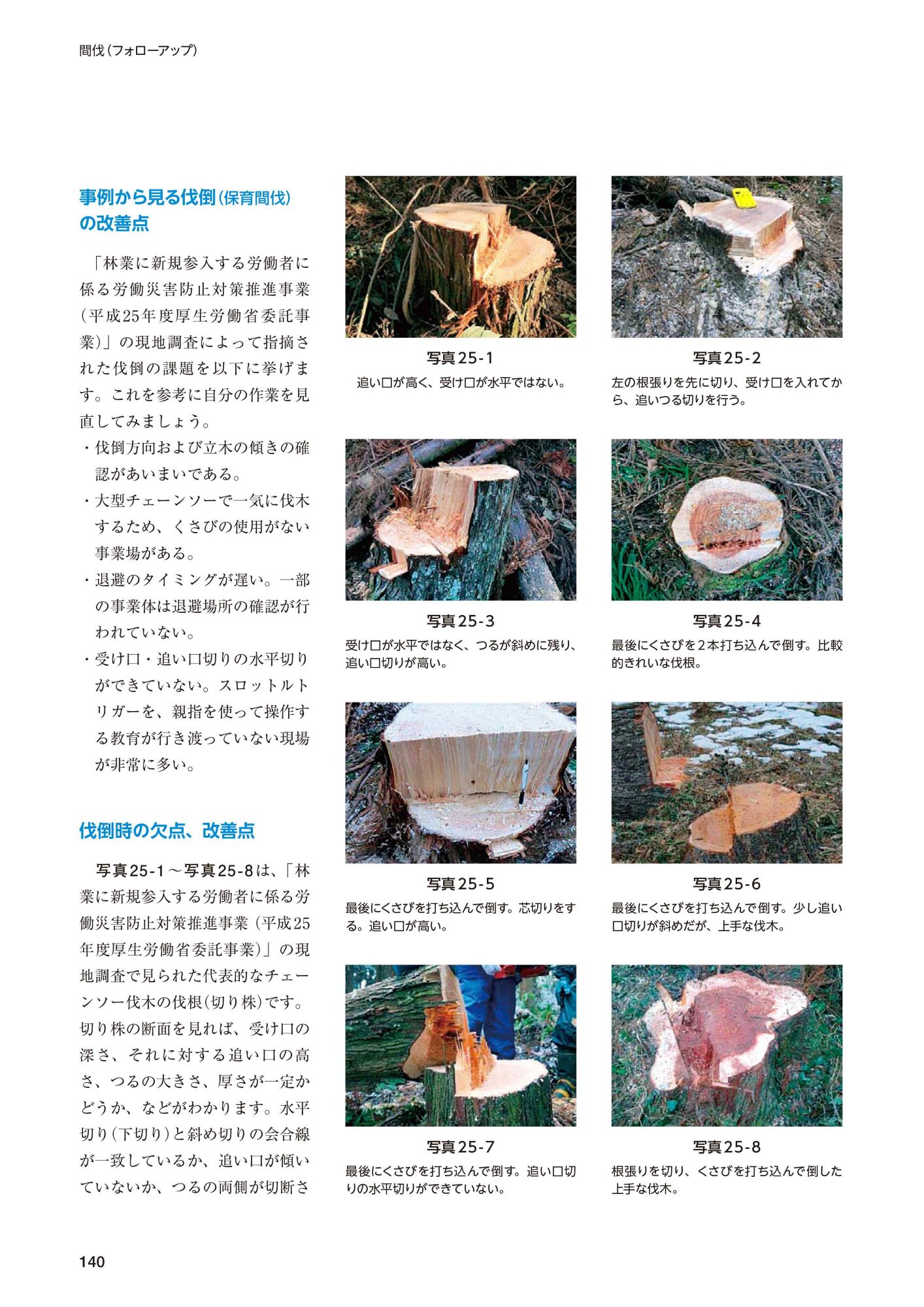 サムネイル画像4