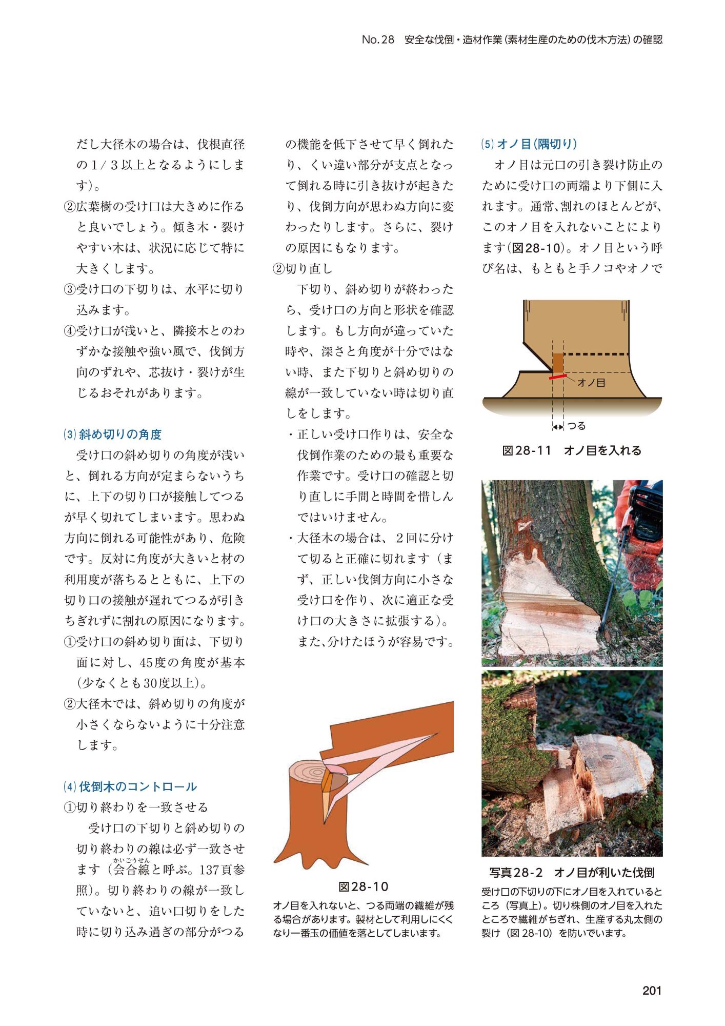 サムネイル画像6
