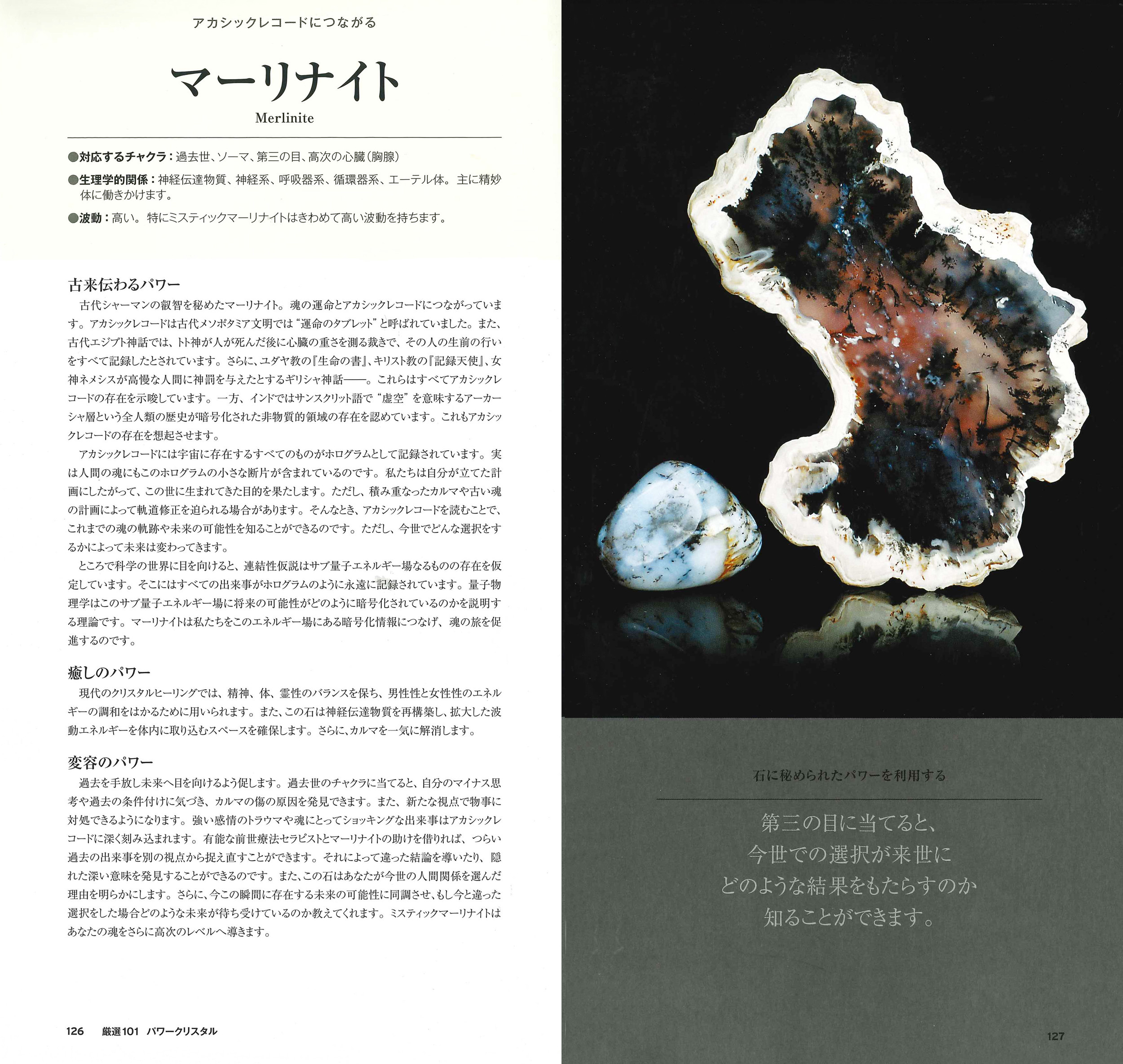サムネイル画像2