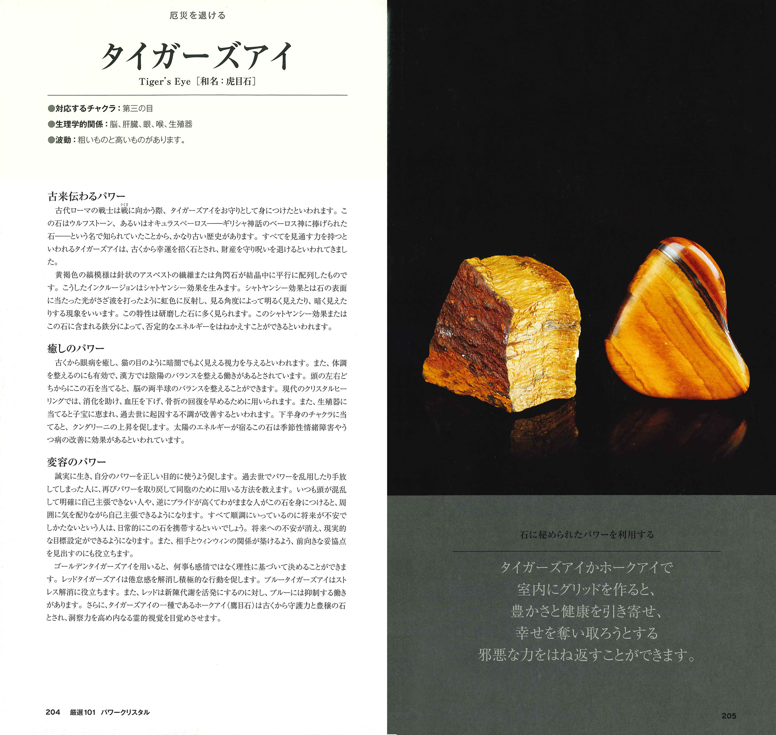 サムネイル画像4