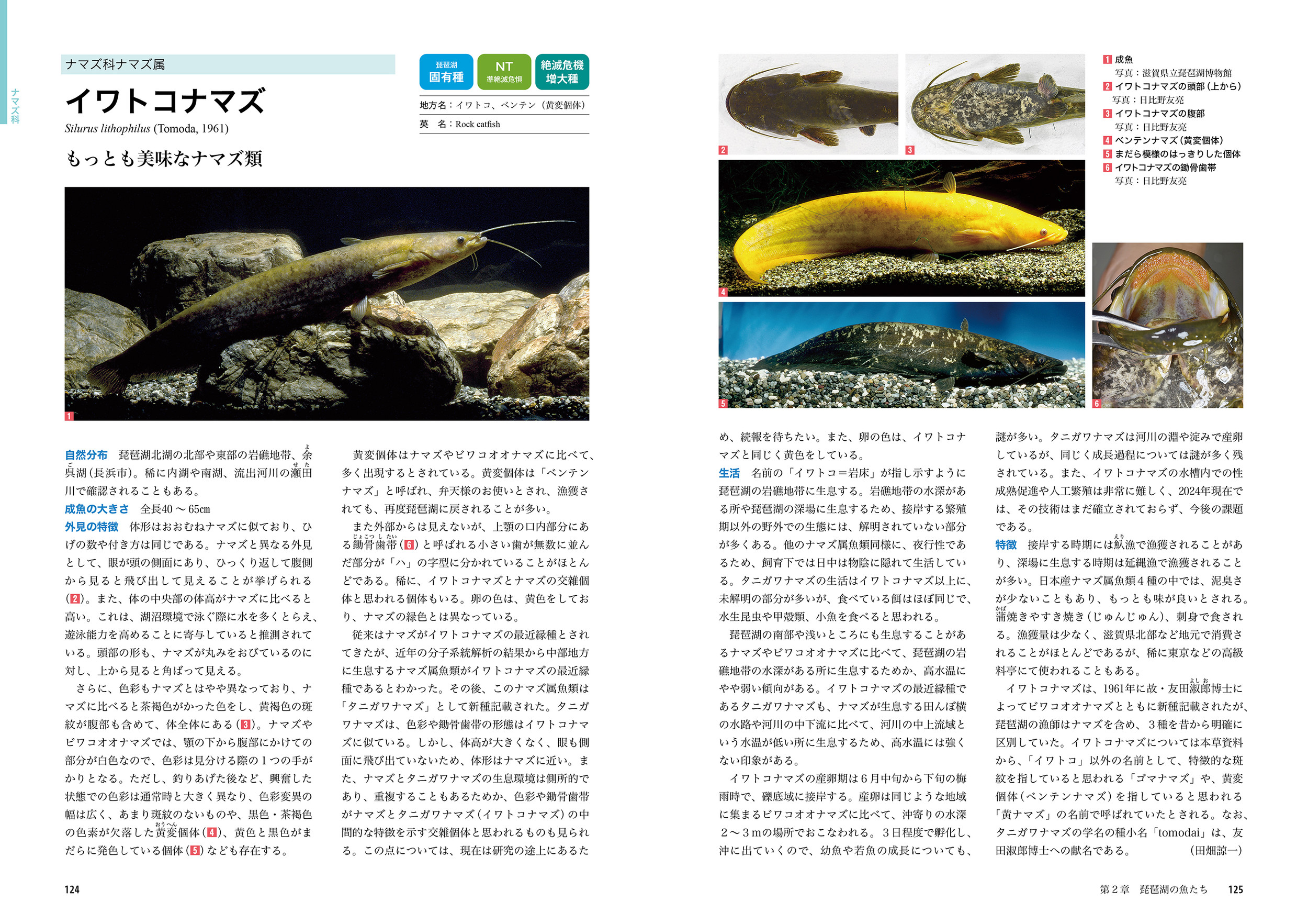 サムネイル画像5