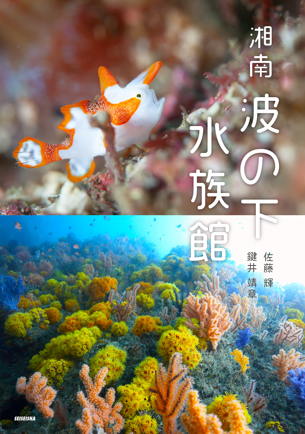 サムネイル画像3
