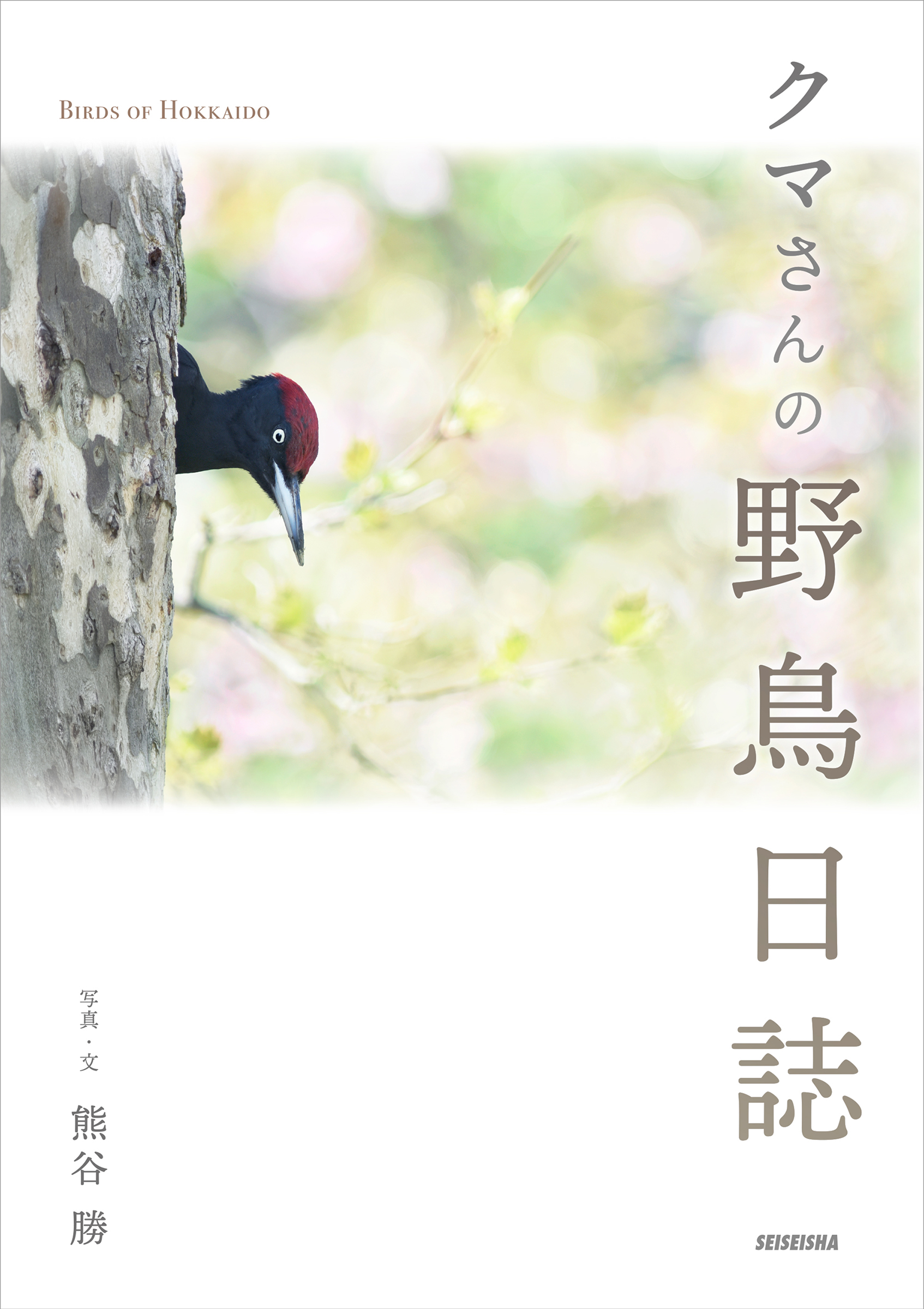 サムネイル画像1