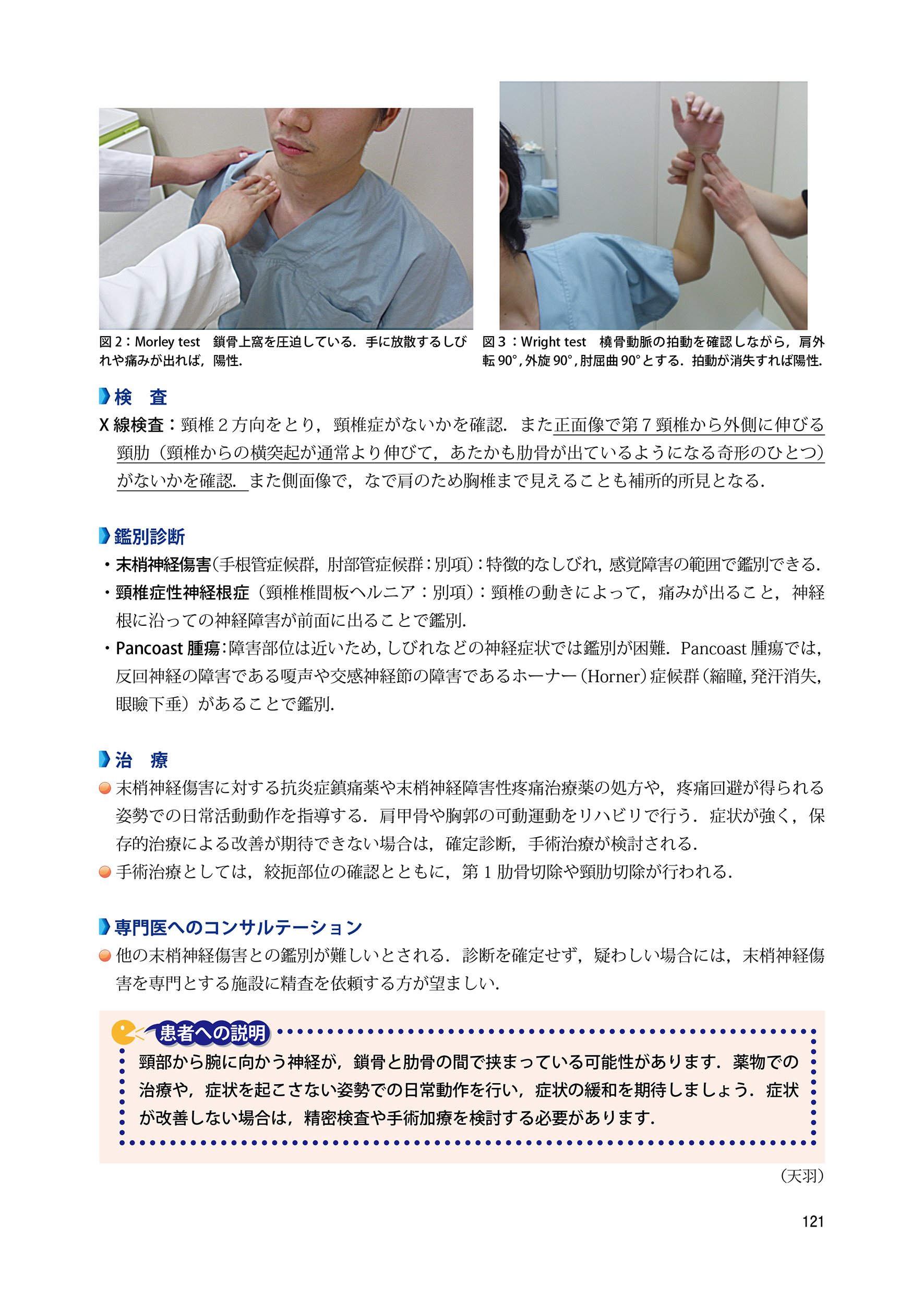 サムネイル画像6