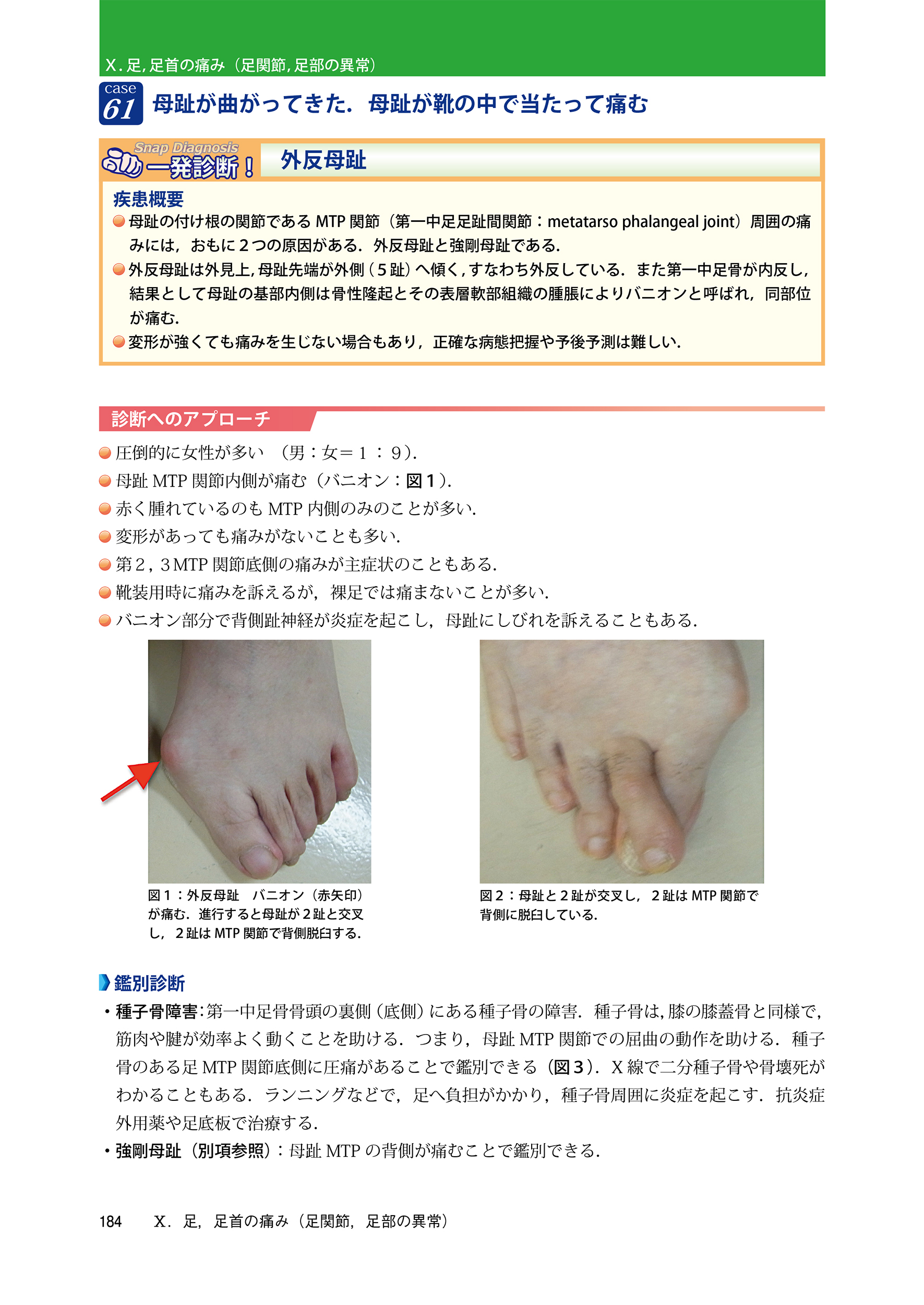 サムネイル画像7