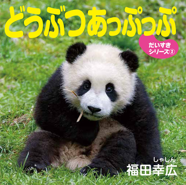 メイン画像