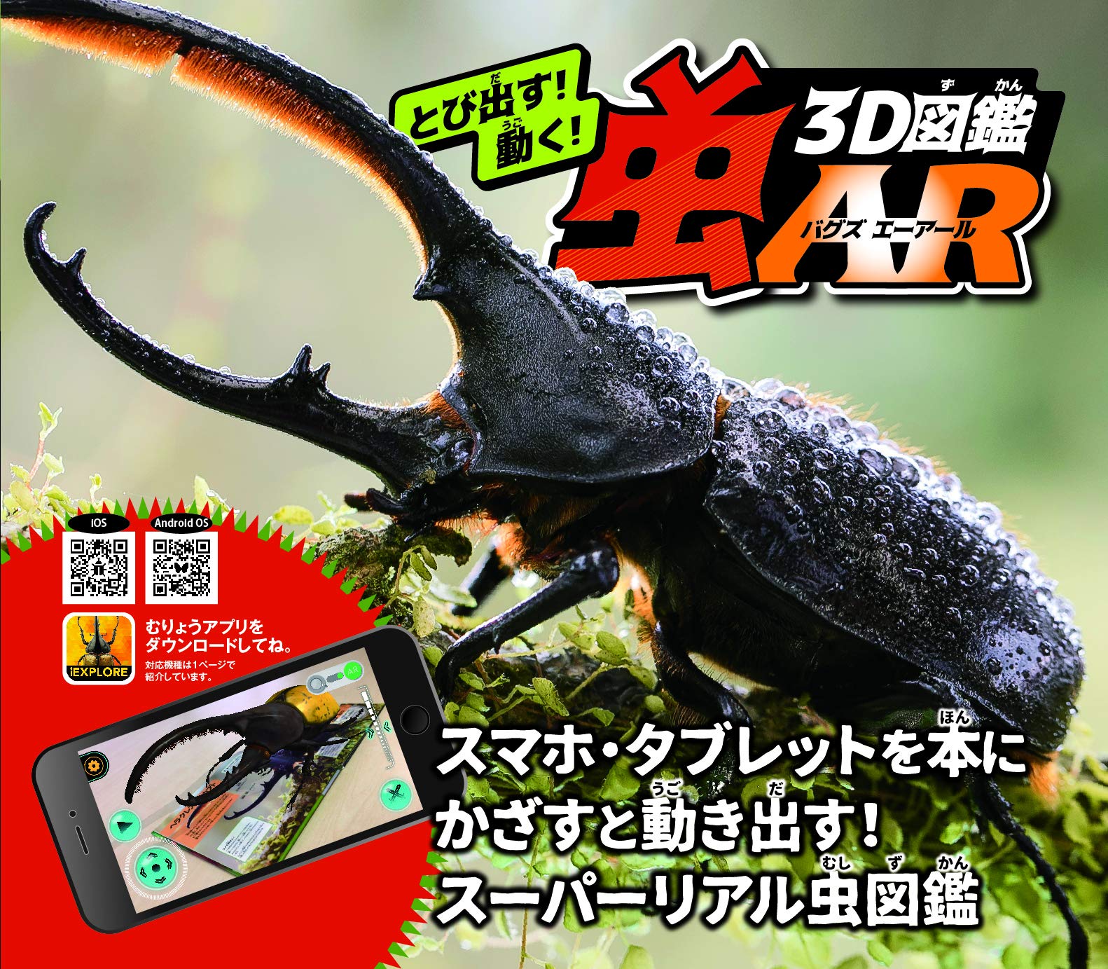 メイン画像