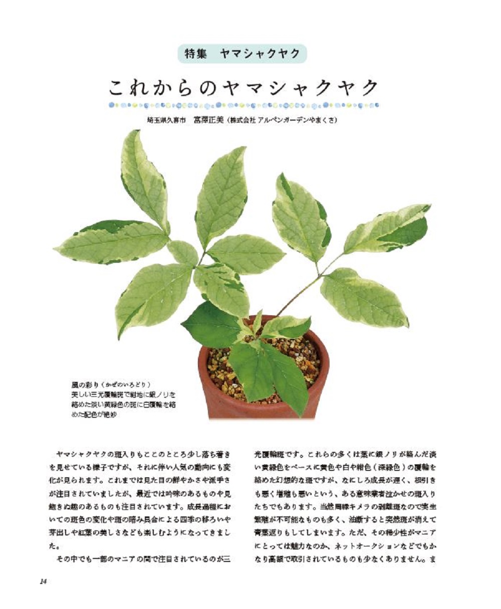 サムネイル画像2