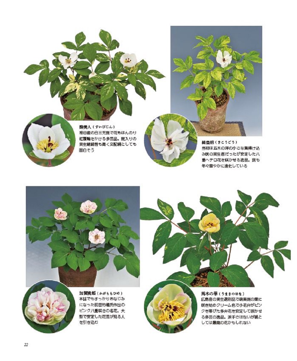 サムネイル画像3