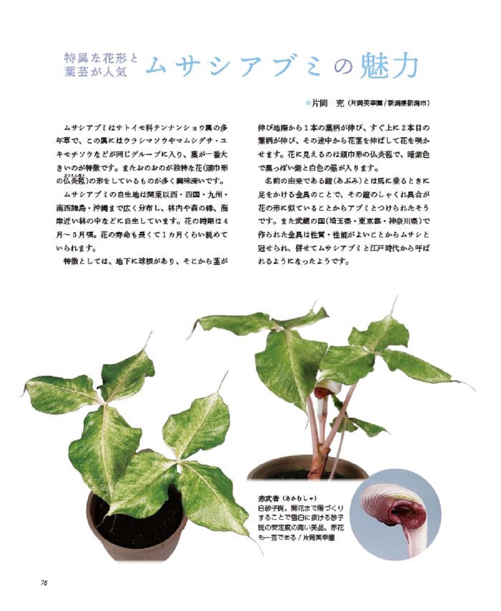サムネイル画像4
