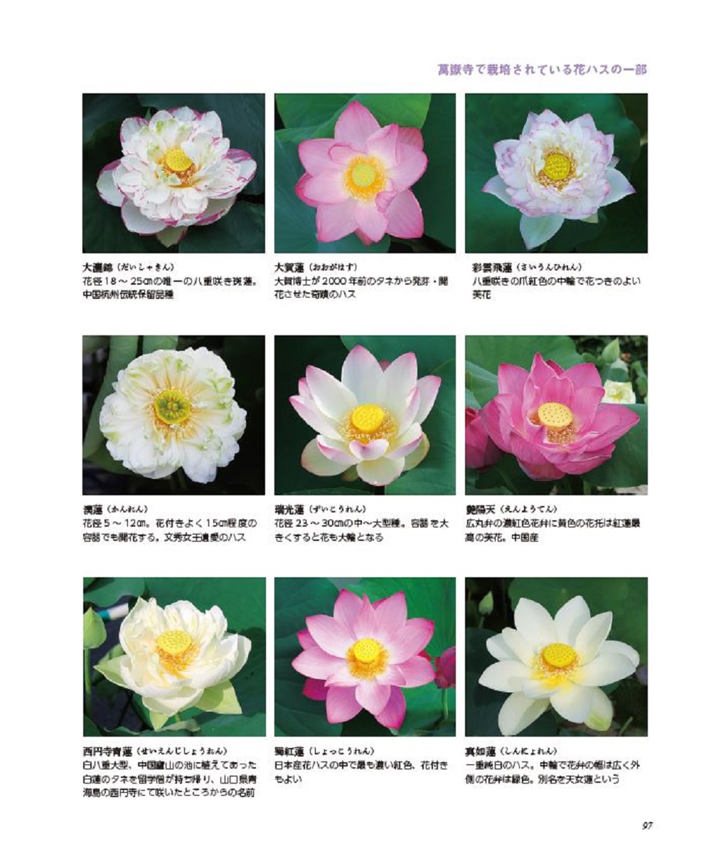 サムネイル画像5
