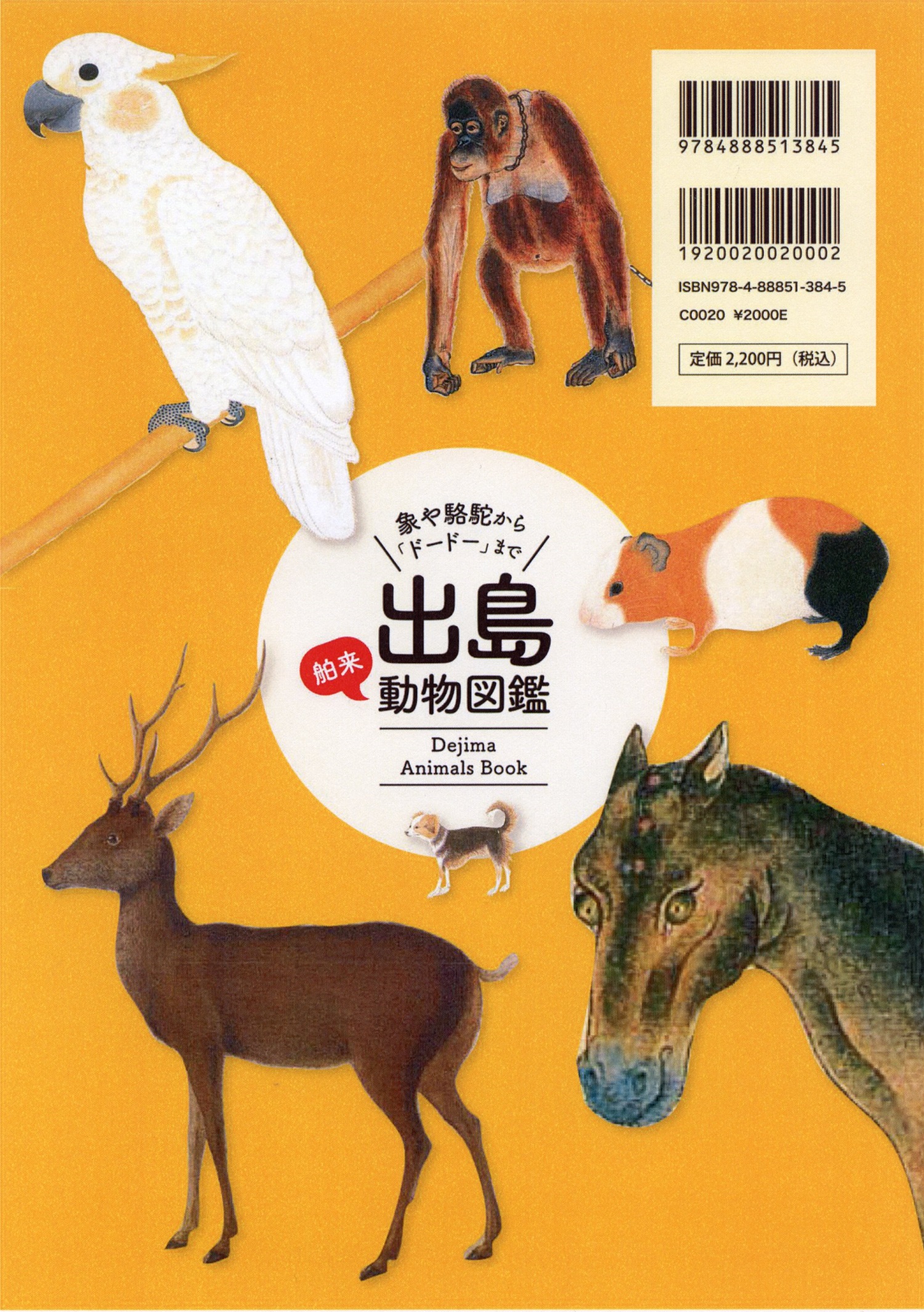 サムネイル画像1