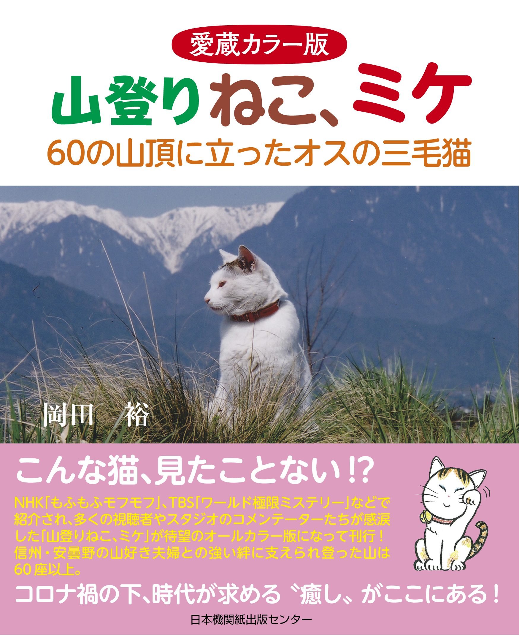 メイン画像