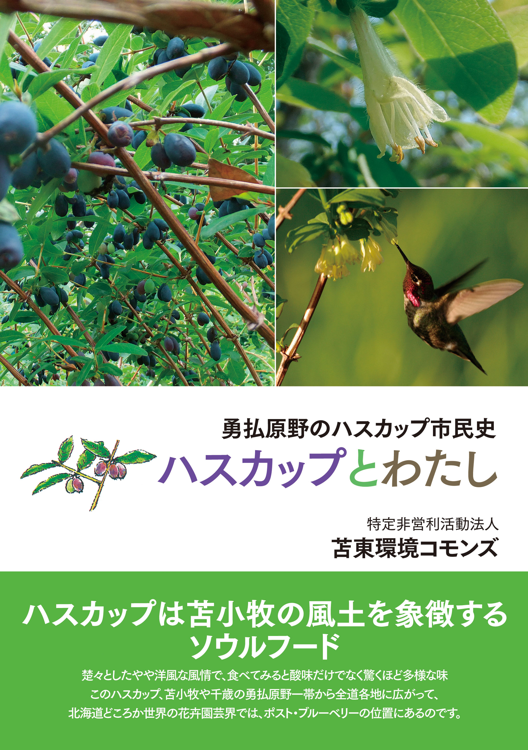 サムネイル画像1