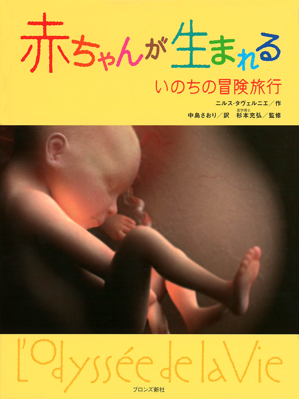 メイン画像