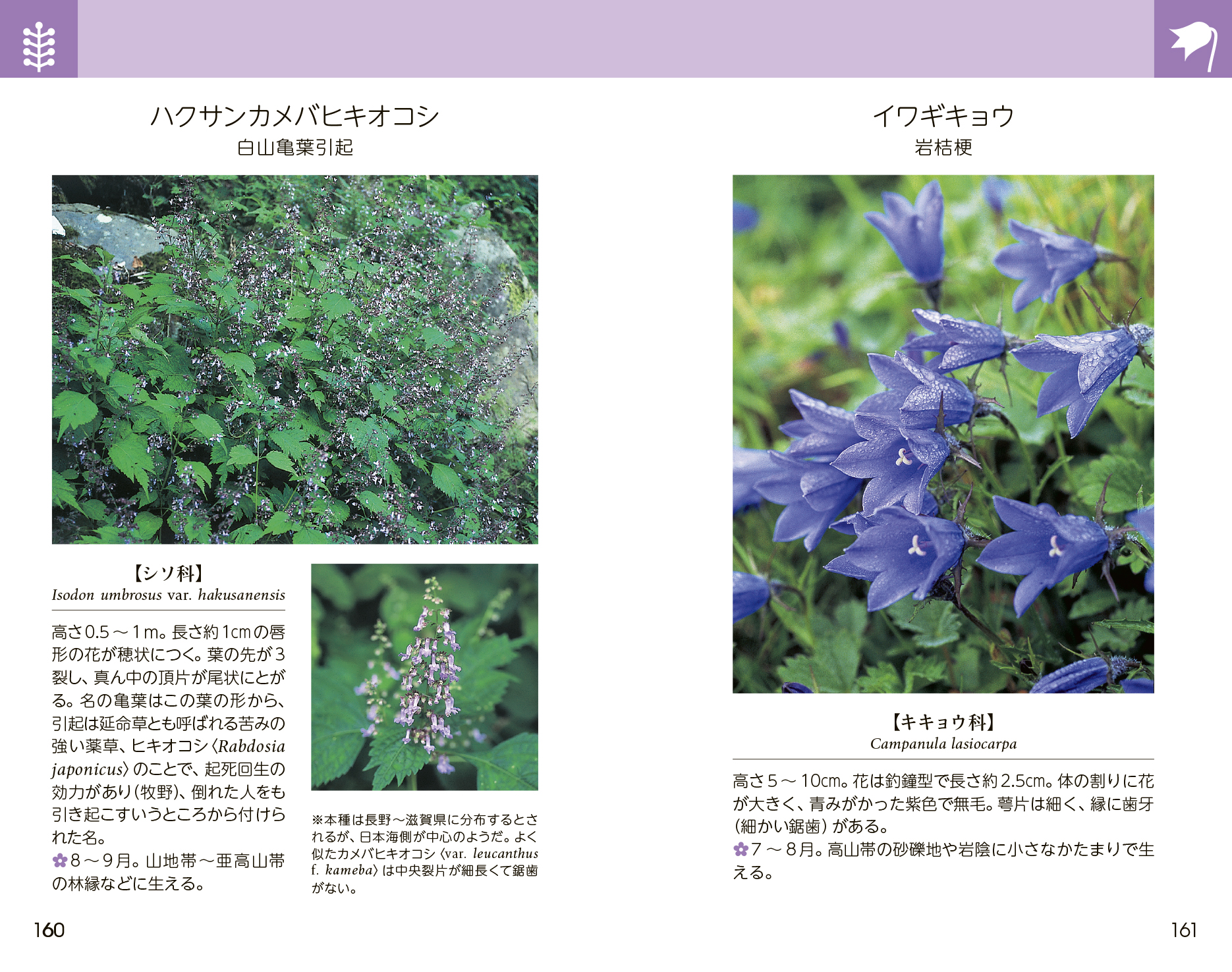 サムネイル画像4