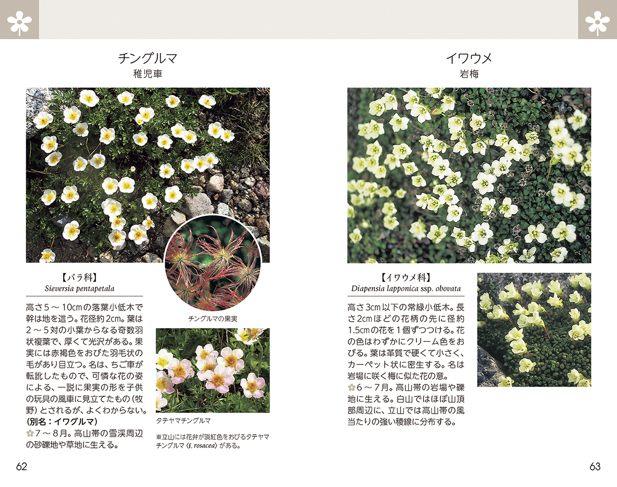 サムネイル画像4