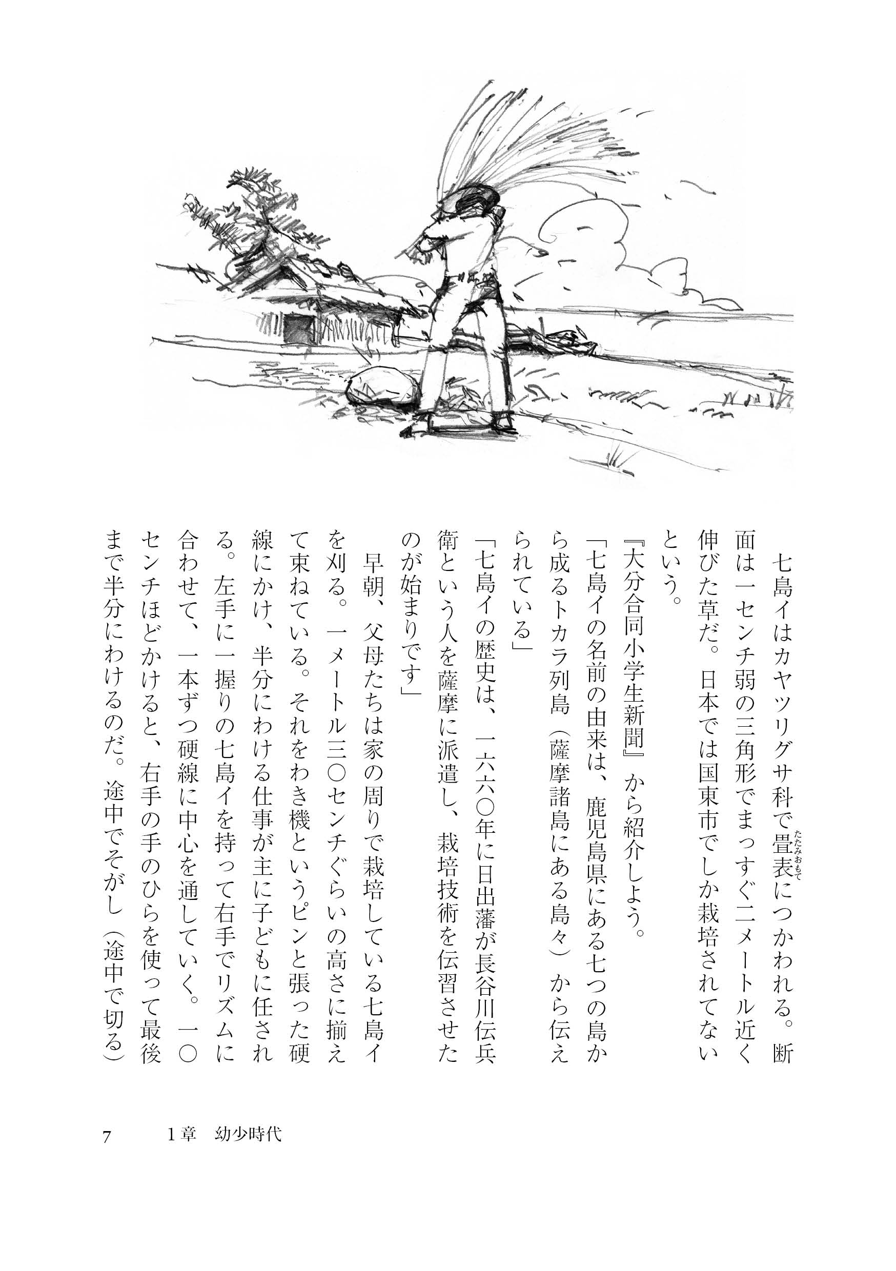 サムネイル画像5