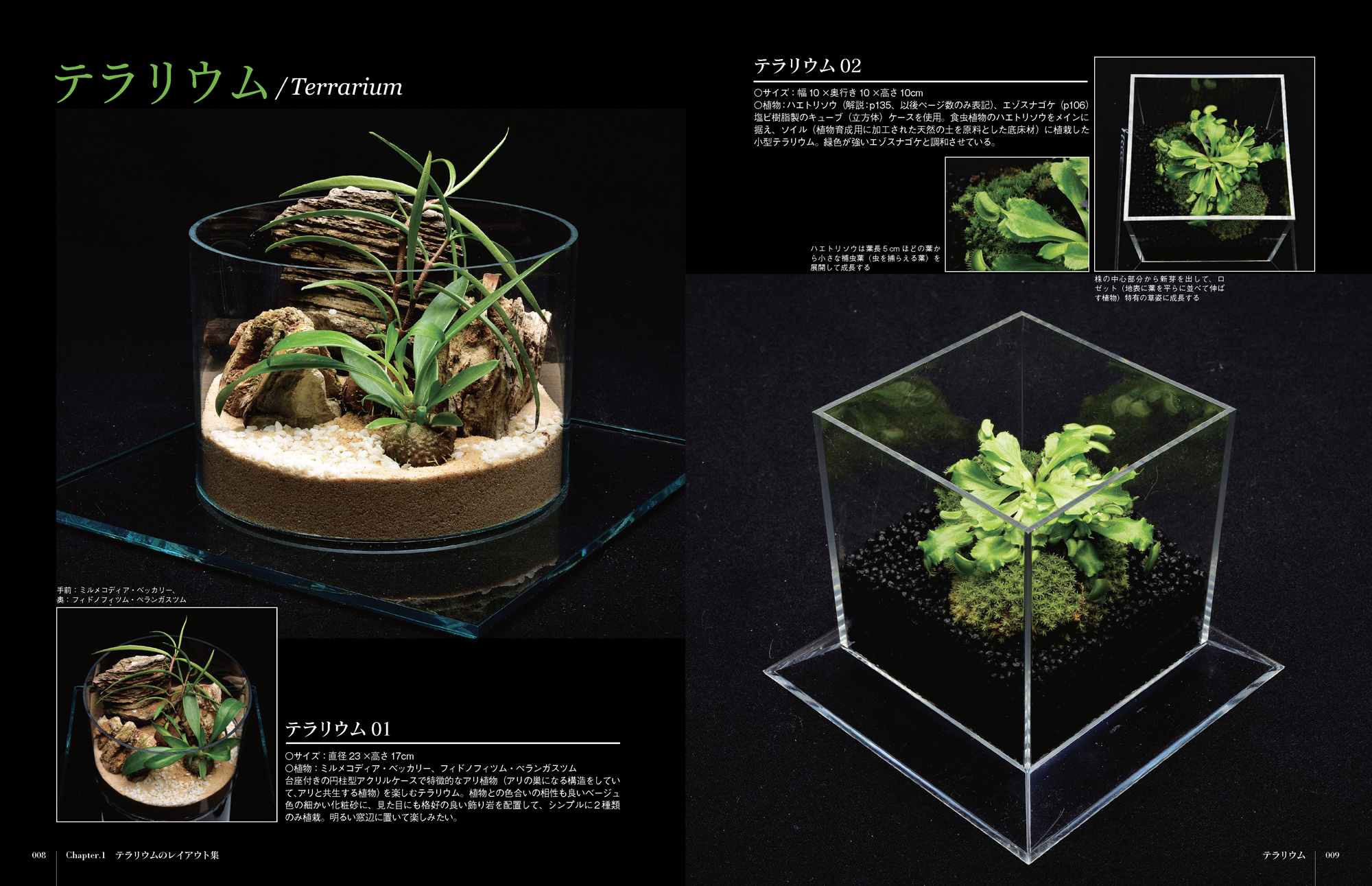 サムネイル画像1