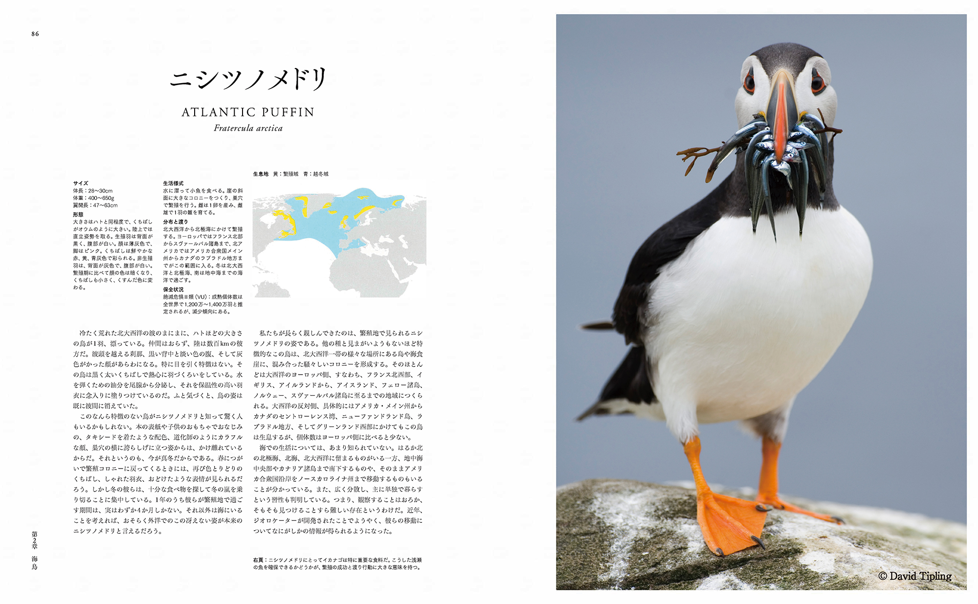 サムネイル画像3