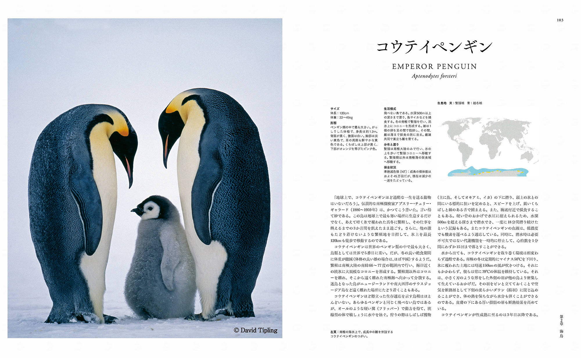 サムネイル画像4