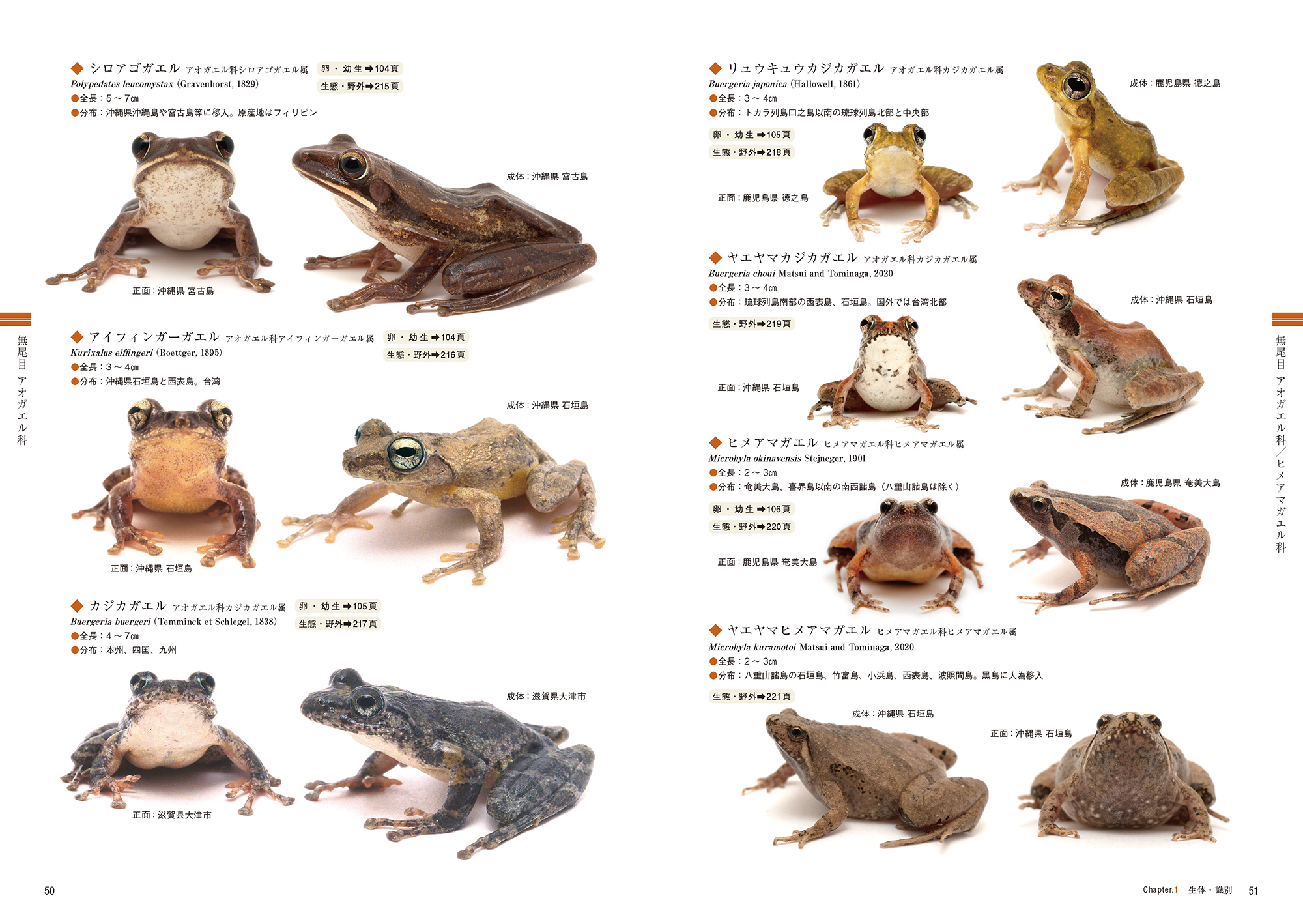 サムネイル画像2