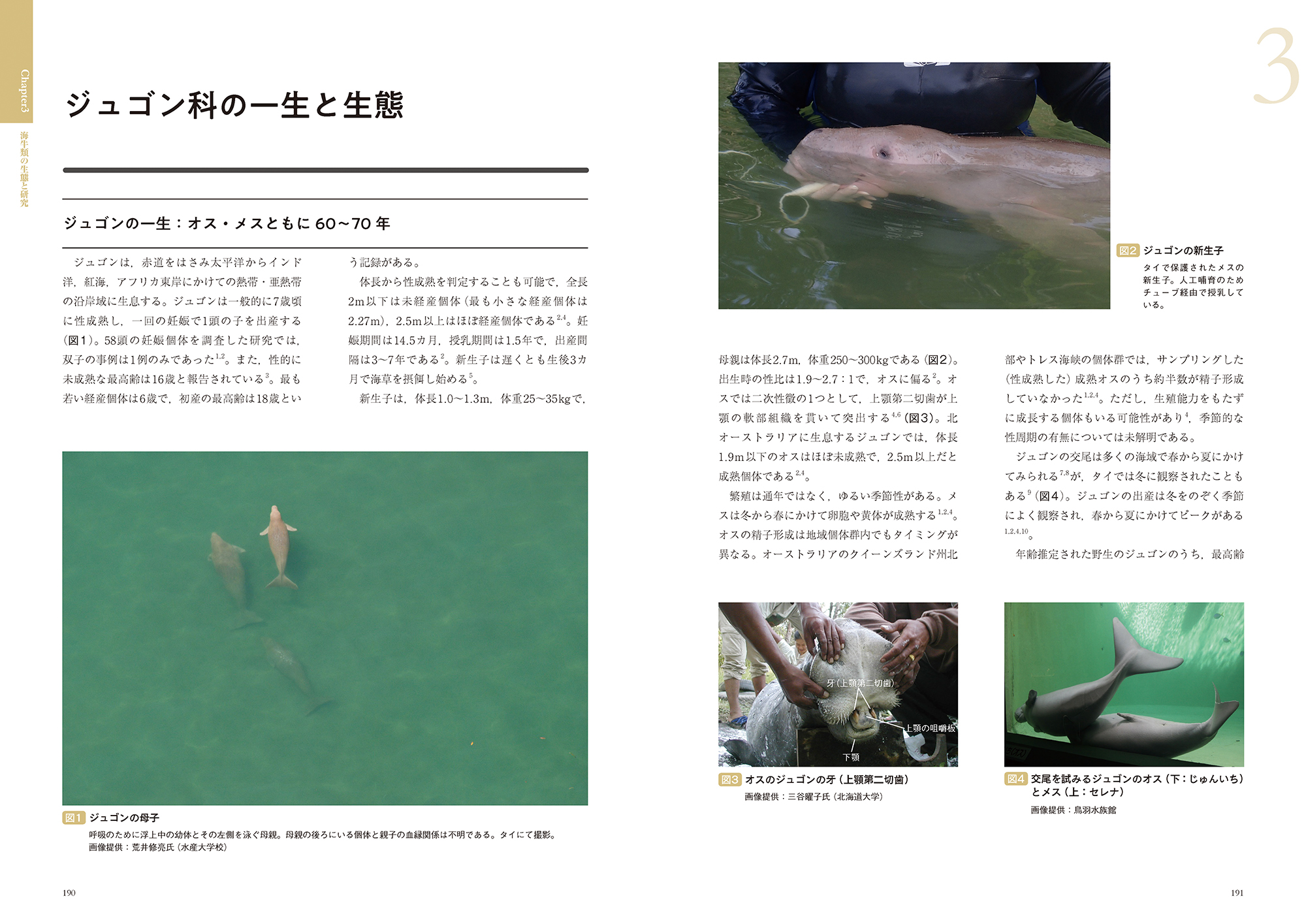 サムネイル画像2
