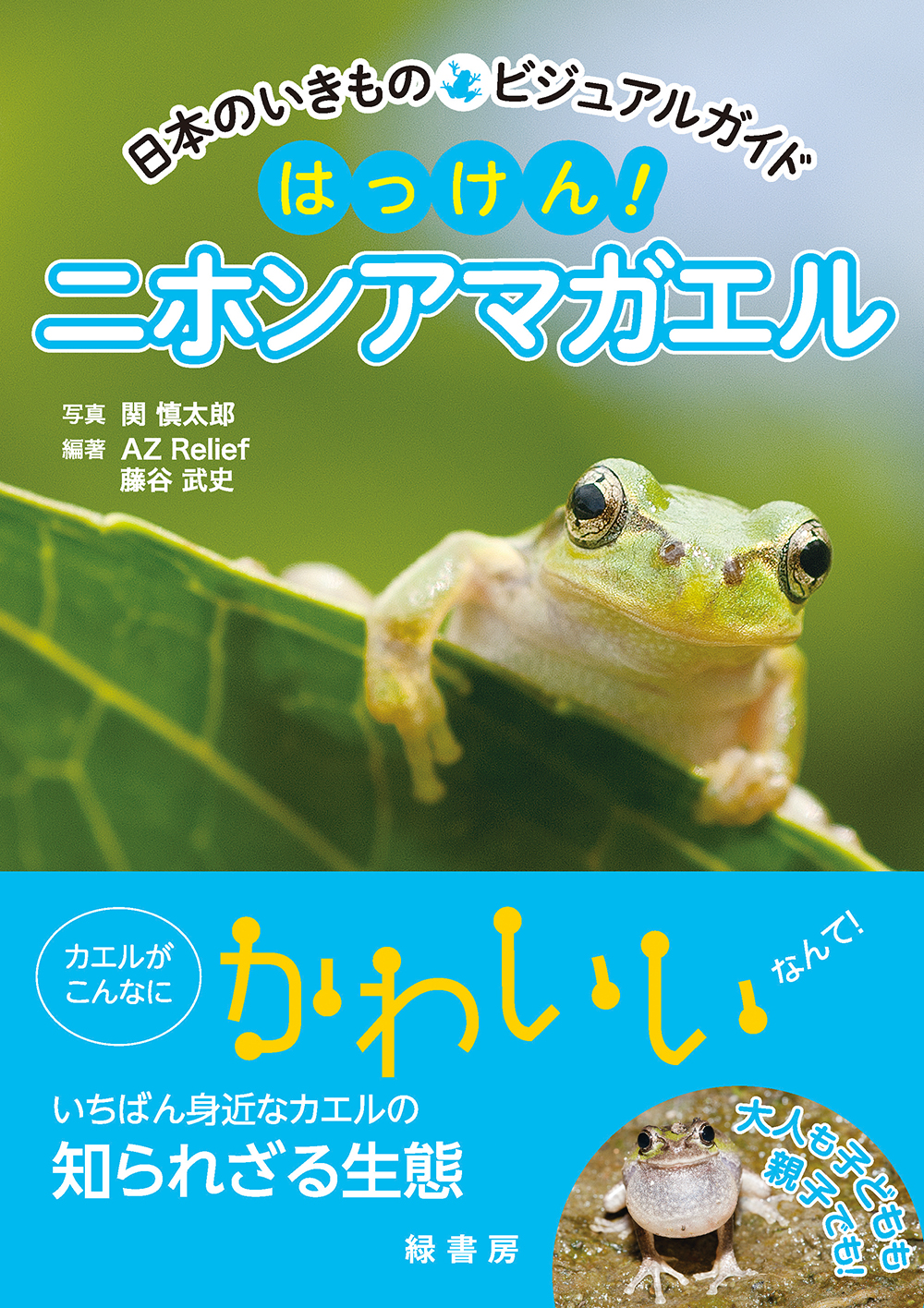 サムネイル画像1