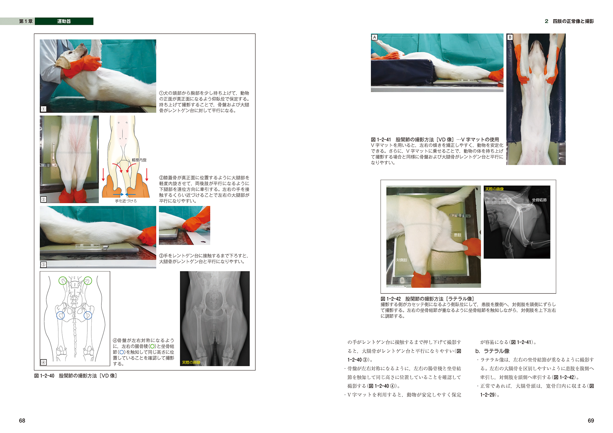 サムネイル画像1