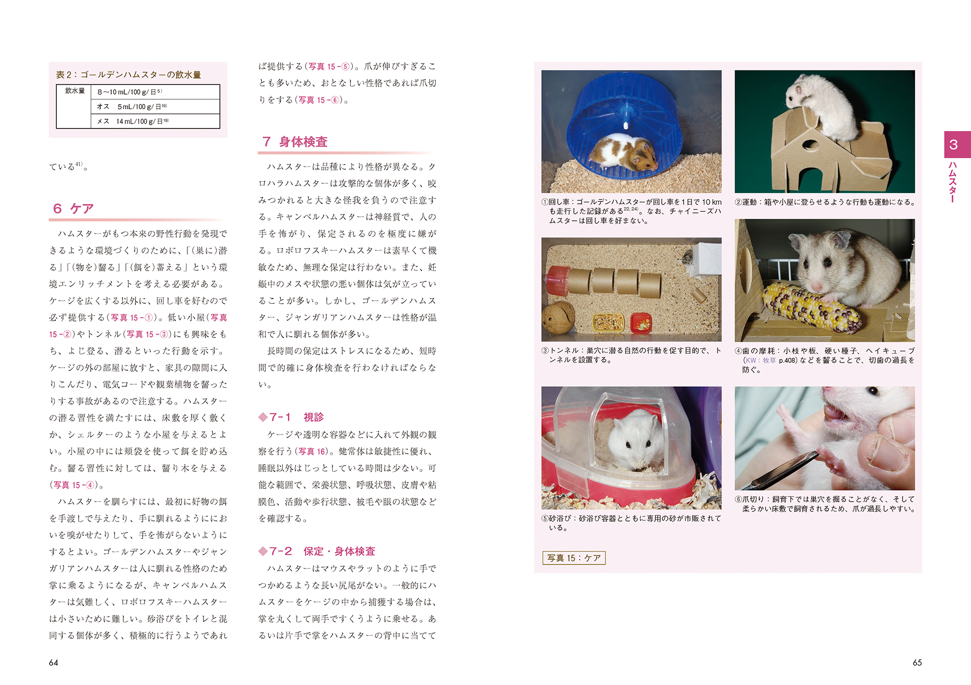 サムネイル画像2