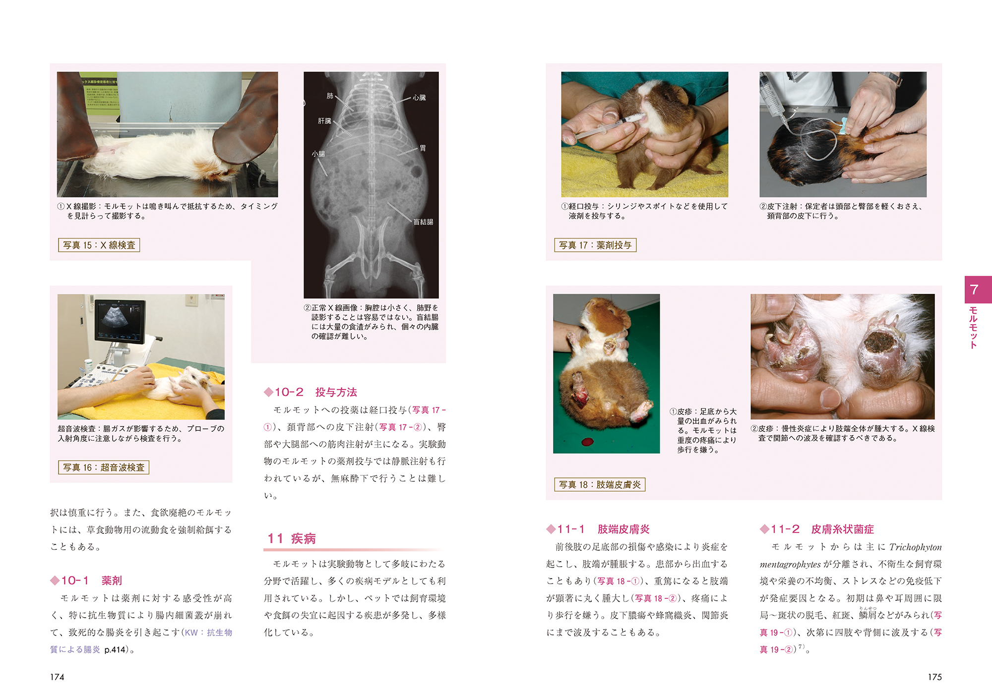 サムネイル画像3