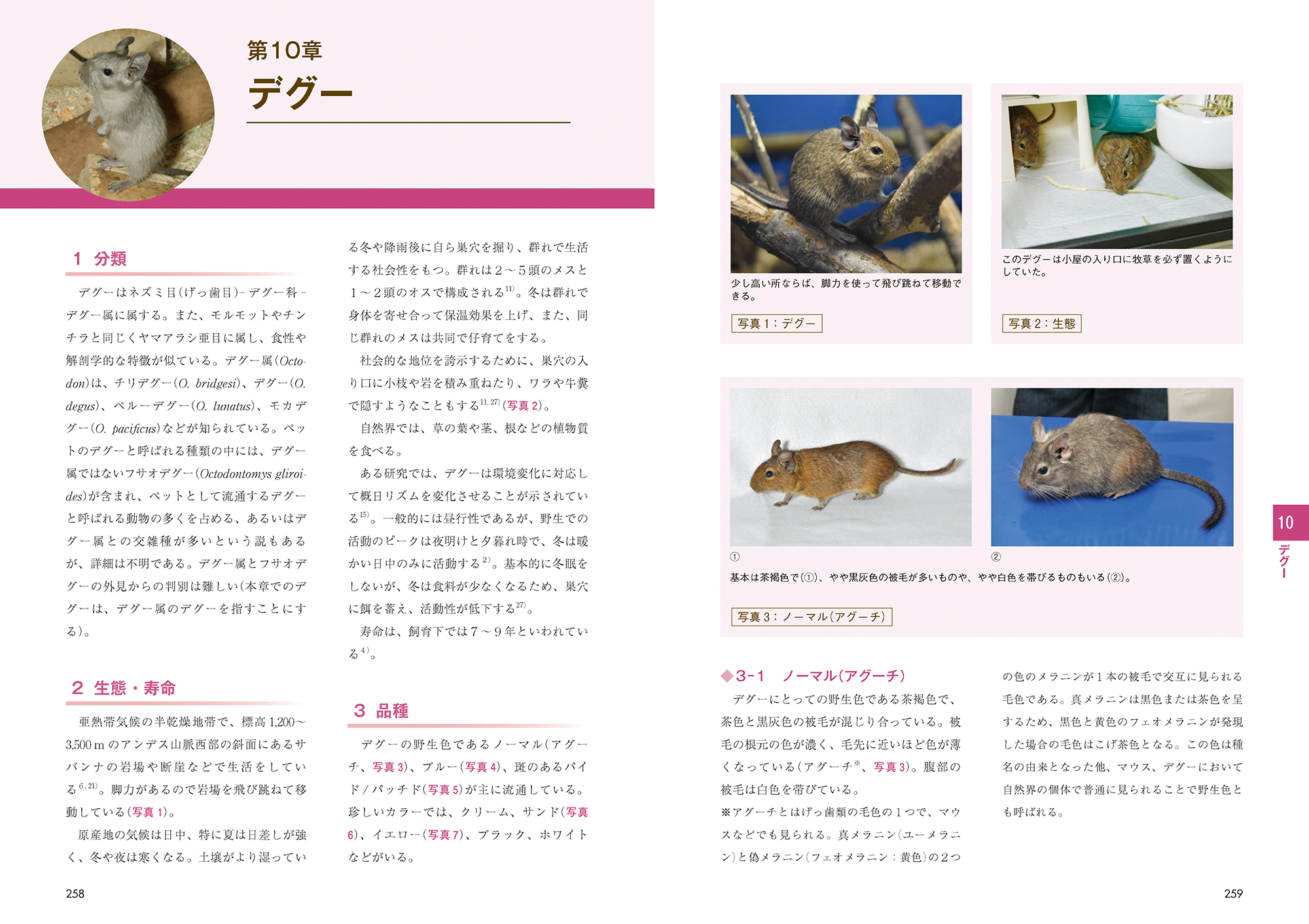 サムネイル画像5