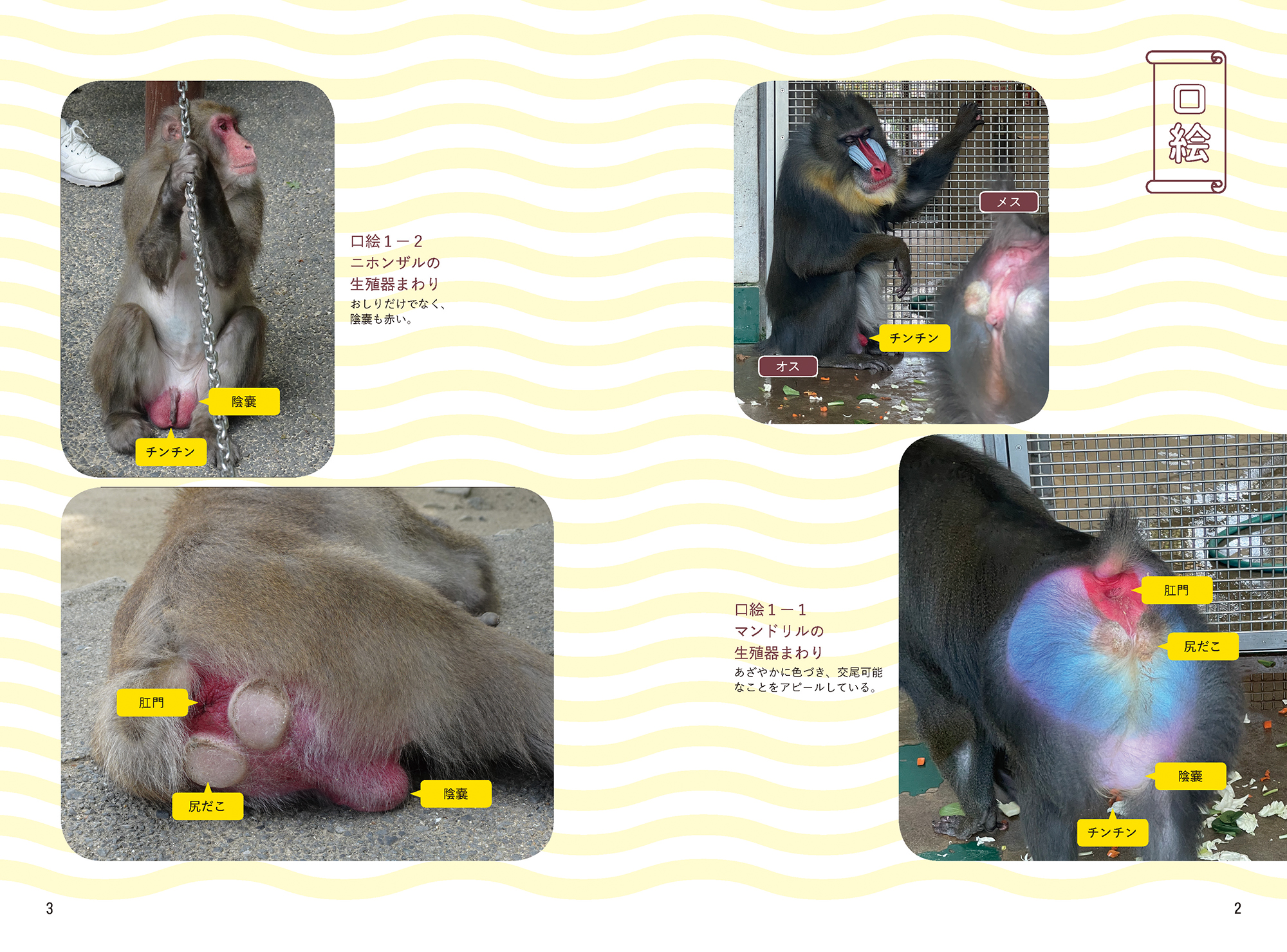 サムネイル画像2