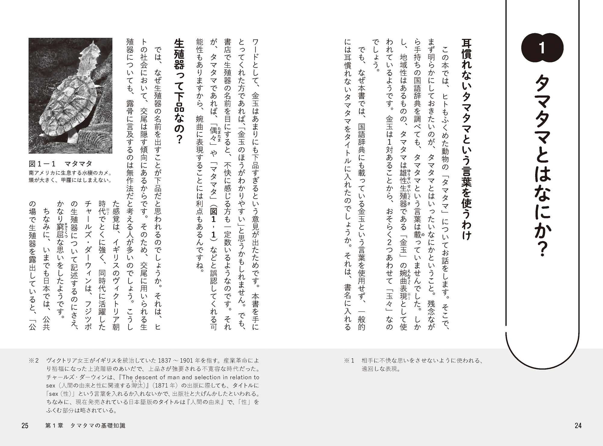 サムネイル画像3
