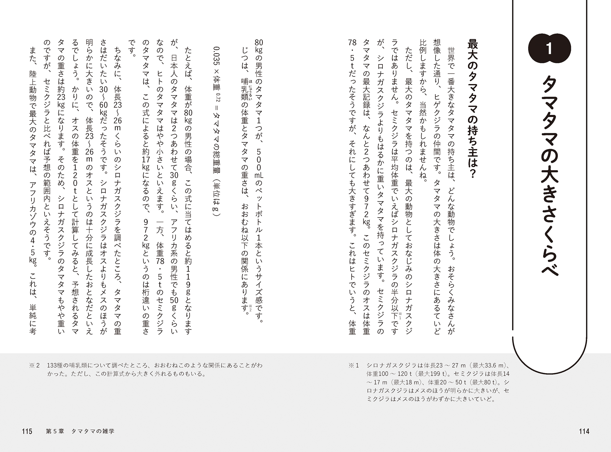サムネイル画像4