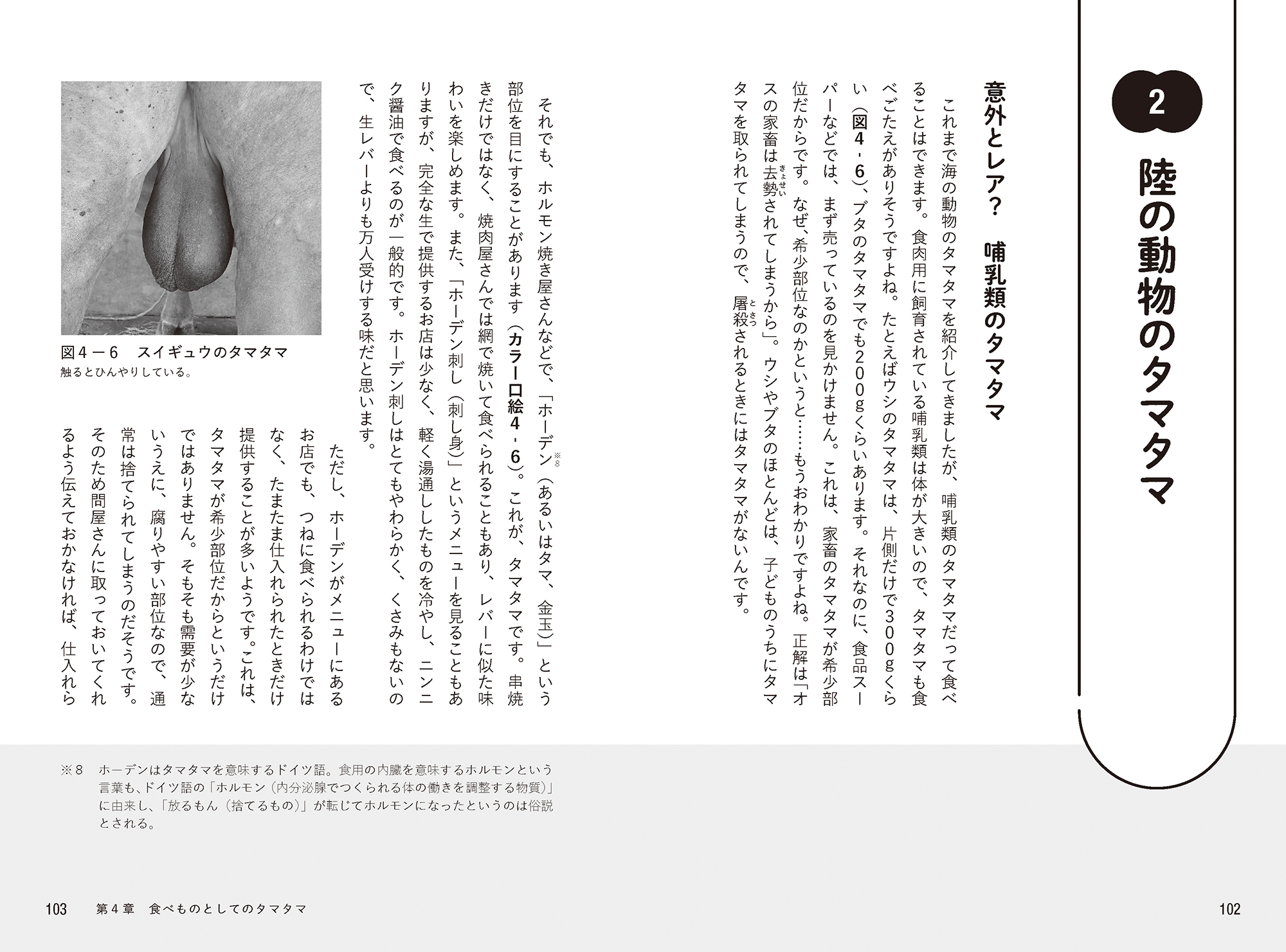 サムネイル画像5