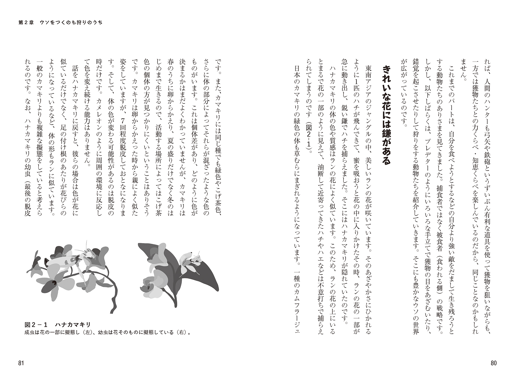 サムネイル画像3