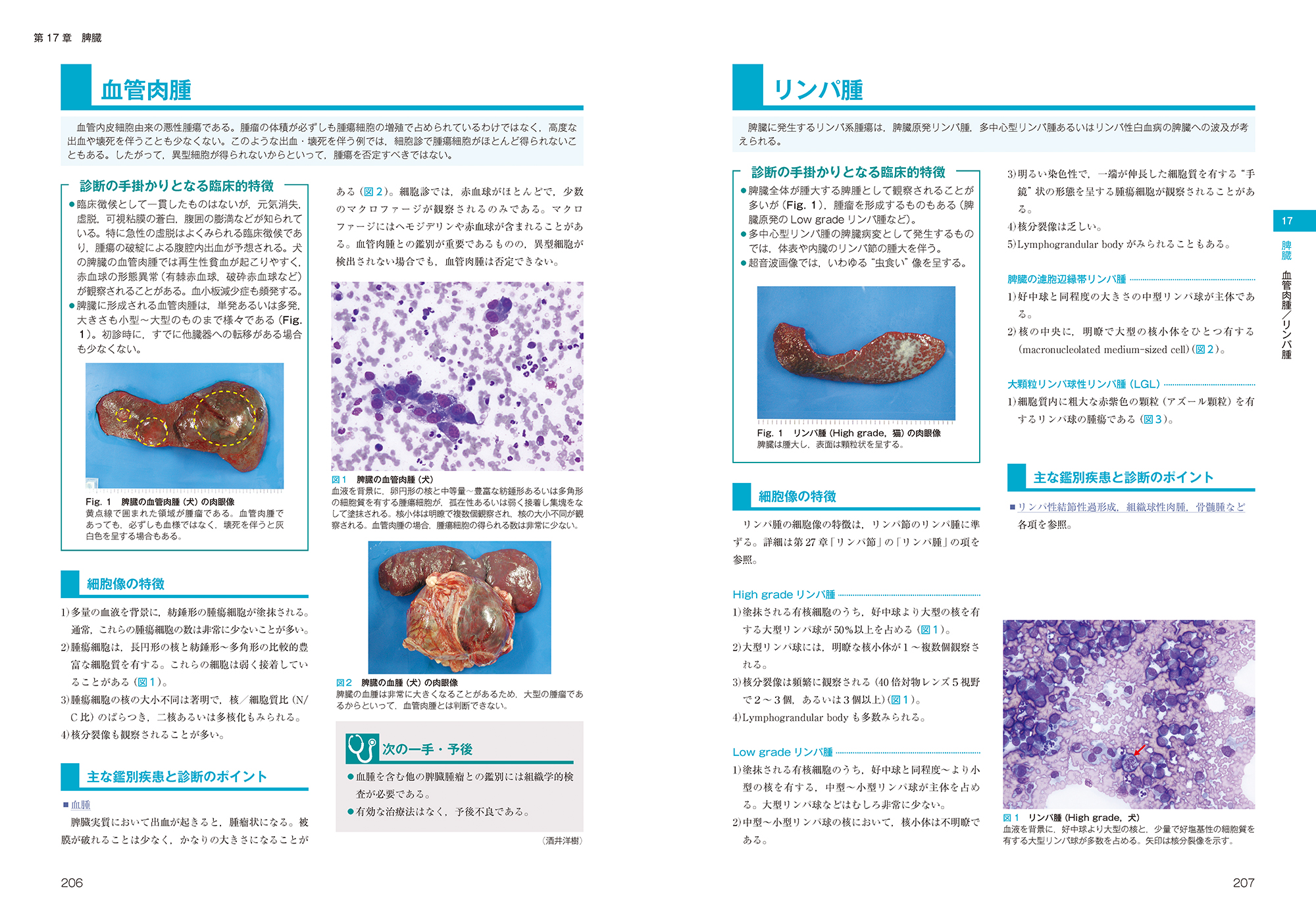 サムネイル画像4