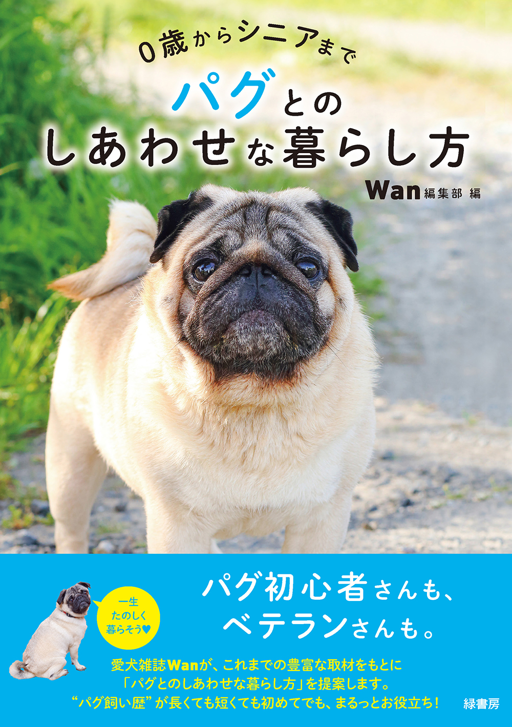 サムネイル画像1