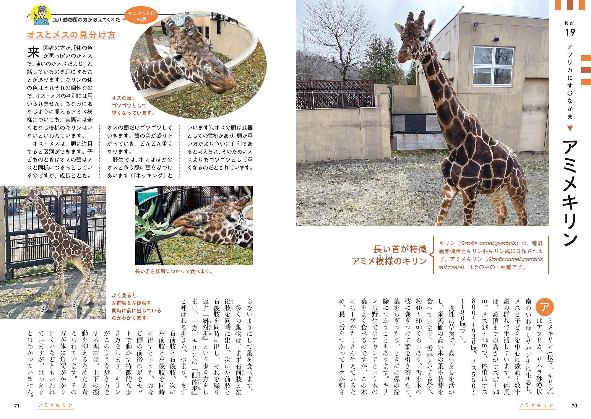 サムネイル画像2